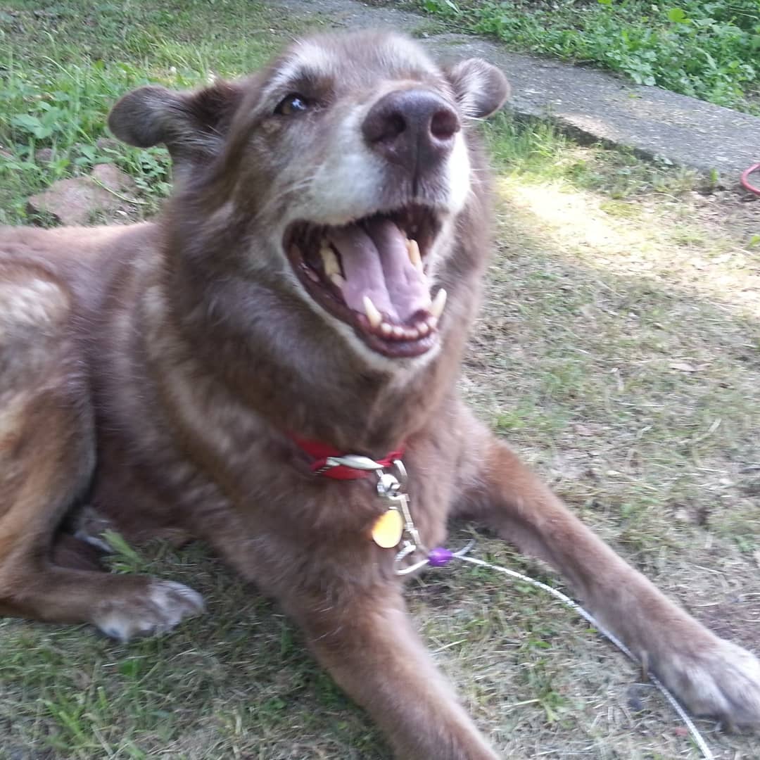 IMG 20190219 005512 736