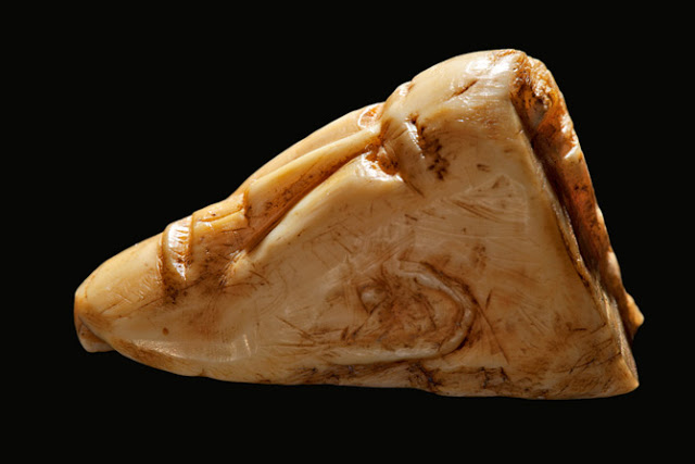 09 possible european visitor face 670