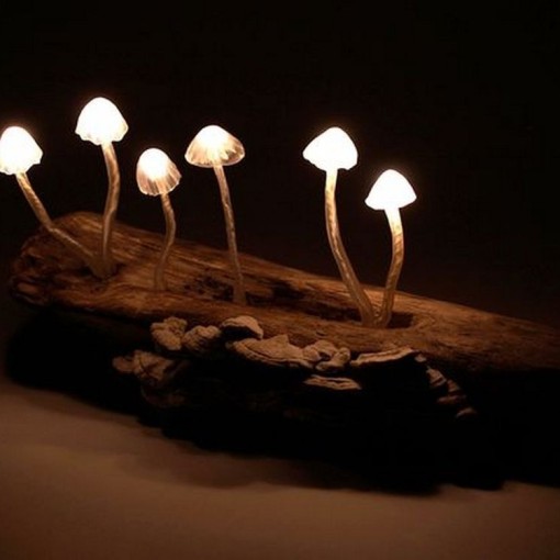 glowing fungi
