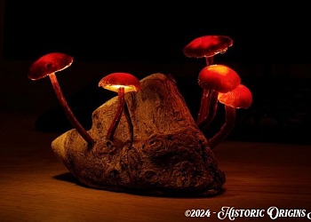 glowing fungi
